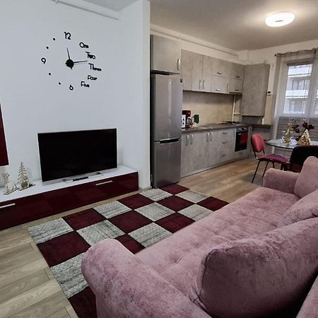 Ludi House Apartment Târgu-Mureş Εξωτερικό φωτογραφία