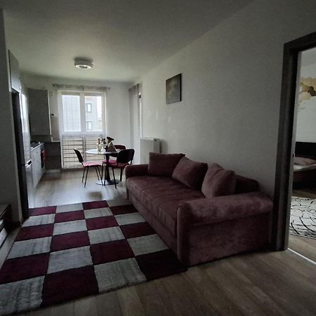 Ludi House Apartment Târgu-Mureş Εξωτερικό φωτογραφία