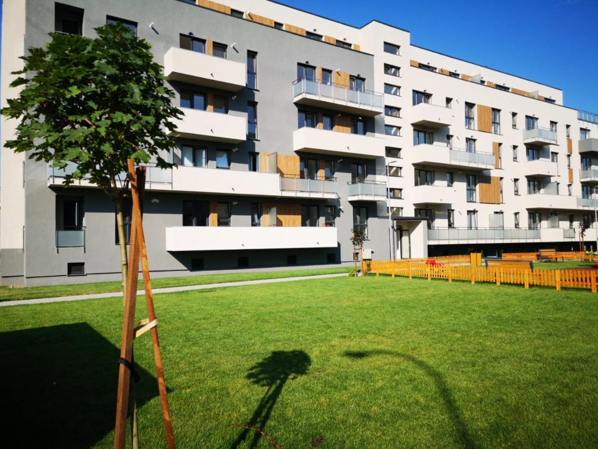 Ludi House Apartment Târgu-Mureş Εξωτερικό φωτογραφία