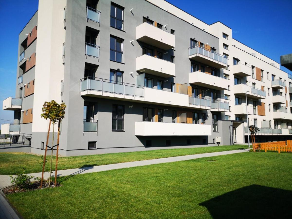 Ludi House Apartment Târgu-Mureş Εξωτερικό φωτογραφία