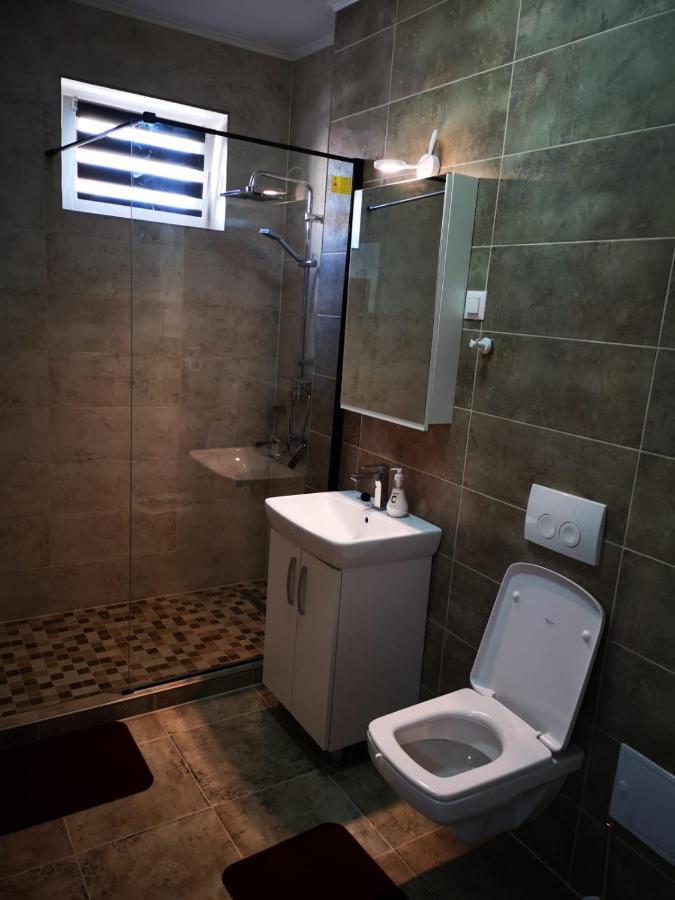 Ludi House Apartment Târgu-Mureş Εξωτερικό φωτογραφία